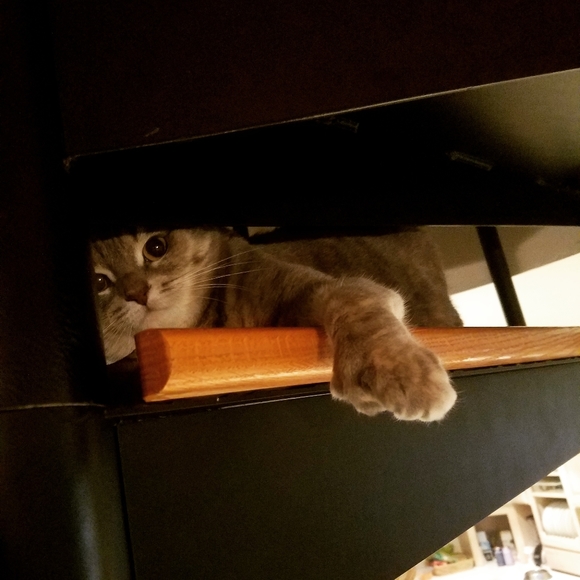 Meet The Posher - Picture 1 of 1